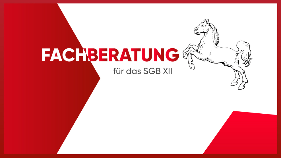 Fachberatung für das SGB 12